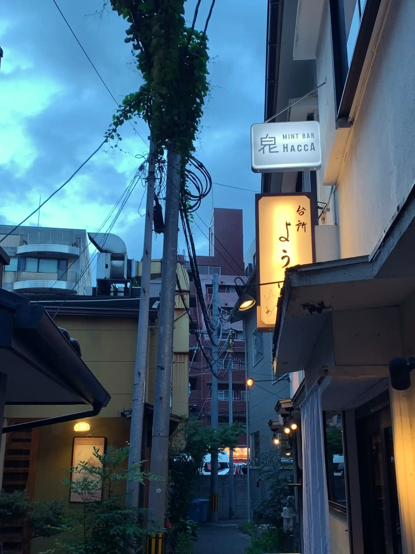 看板の点灯を見て2階へ/When I saw the sign light up, I went up to the second floor.